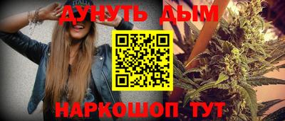 jwh Гатчина
