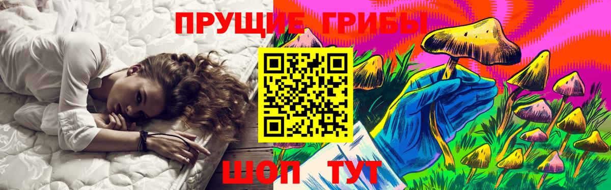 Галлюциногенные грибы Magic Shrooms Гурьевск