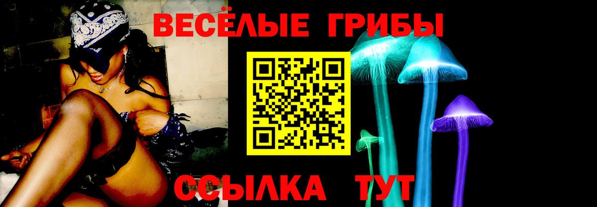 Галлюциногенные грибы мицелий  Вход с VPN  Гурьевск  Галлюциногенные грибы Psilocybine cubensis 